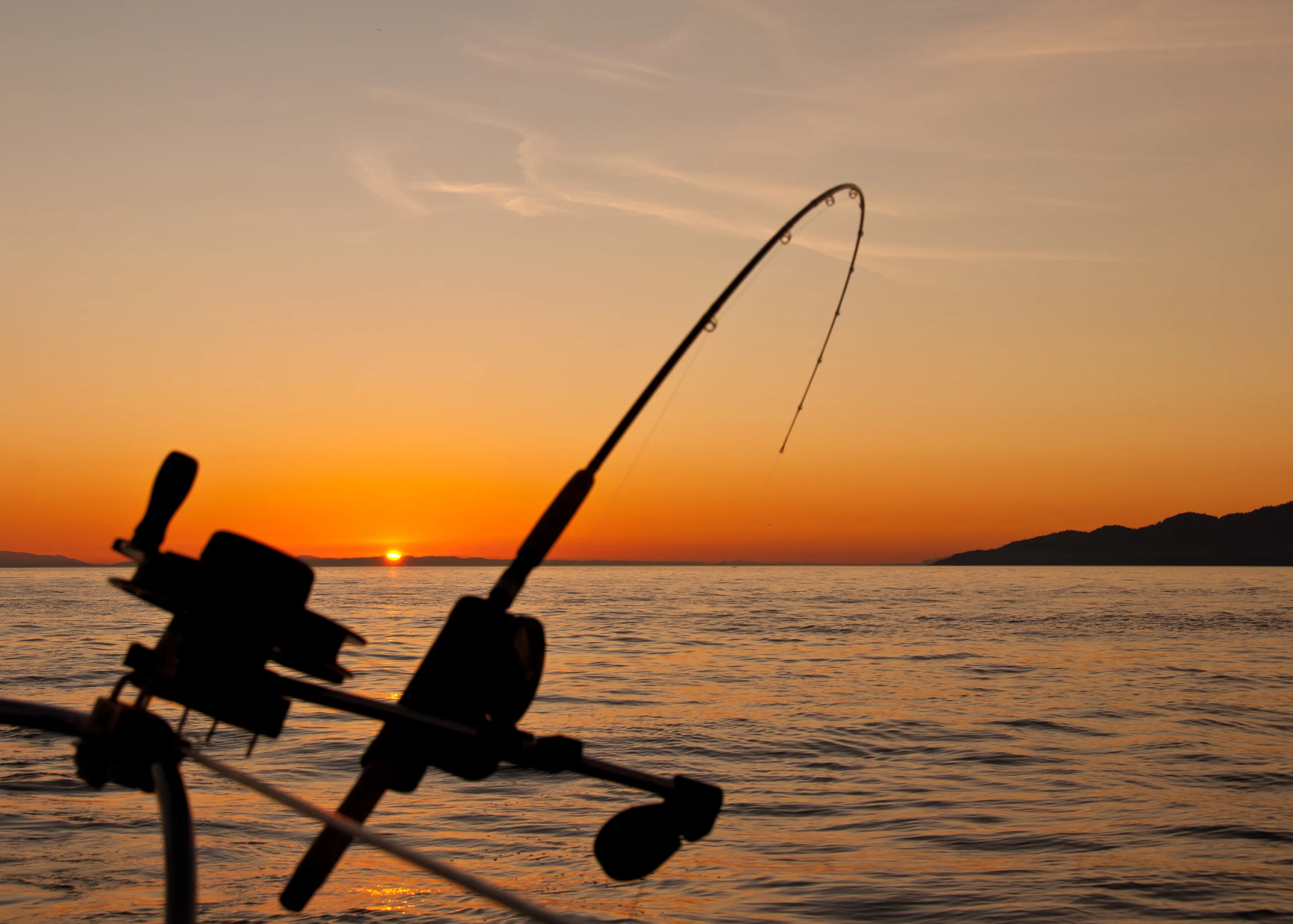 What Made These Rods, Hooks, and Lines Stand Out in Performance