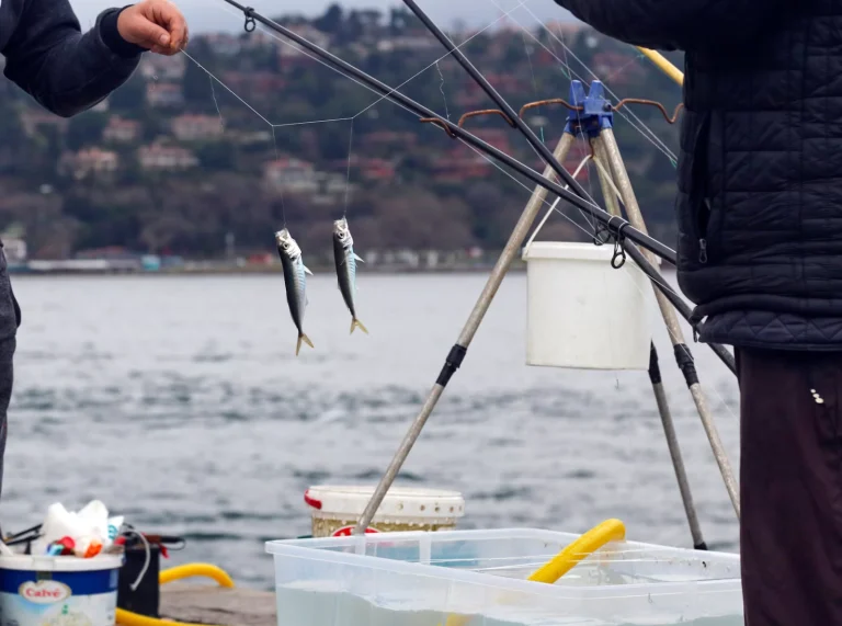 How to Choose the Best Fishing Line for Big Fish