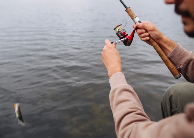 Why Do Anglers Call the Best Homemade Fishing Bait the Secret Weapon