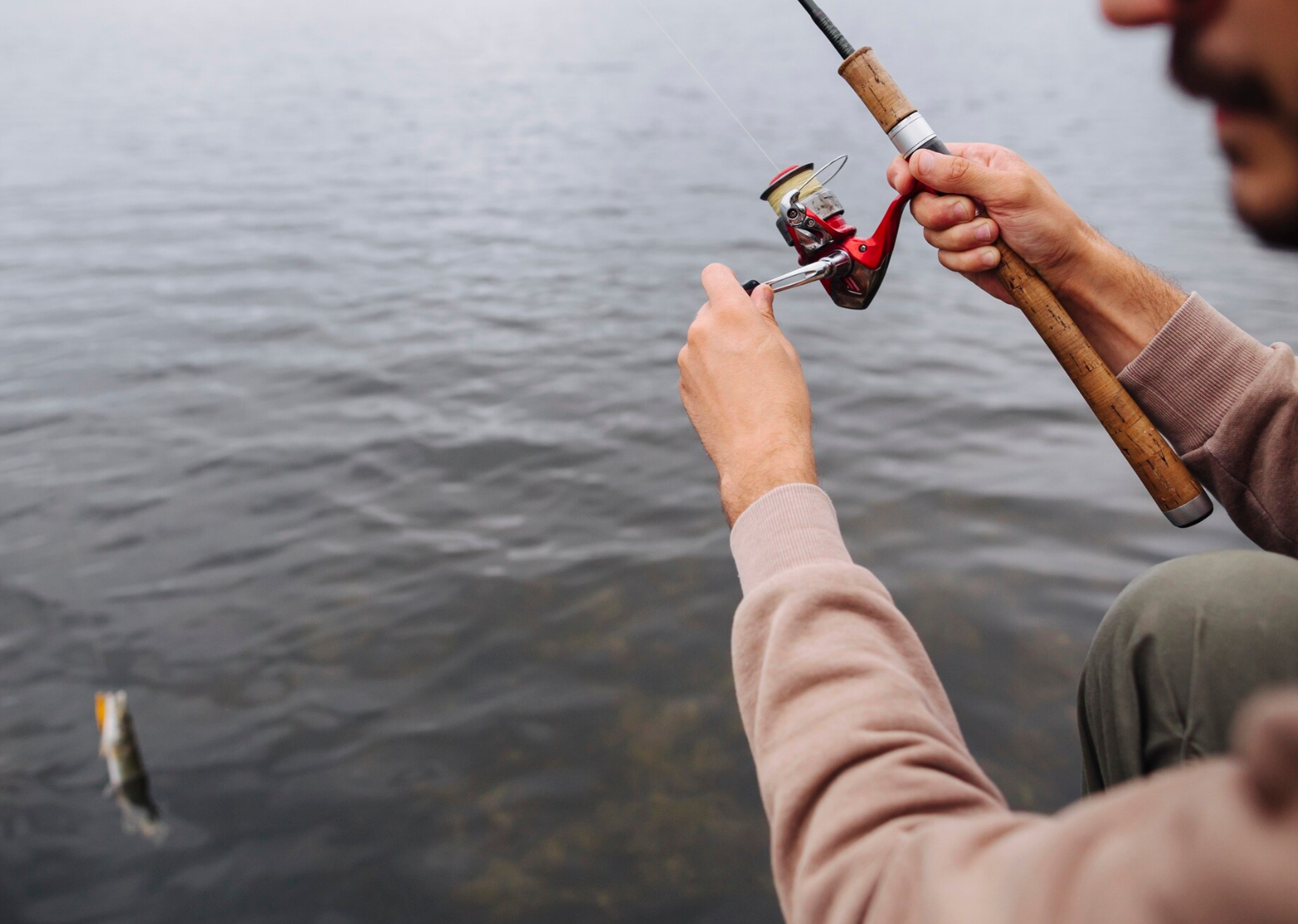 Why Do Anglers Call the Best Homemade Fishing Bait the Secret Weapon