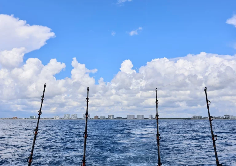 Are You Missing the Supreme Saltwater Fishing Line for Fishing Success