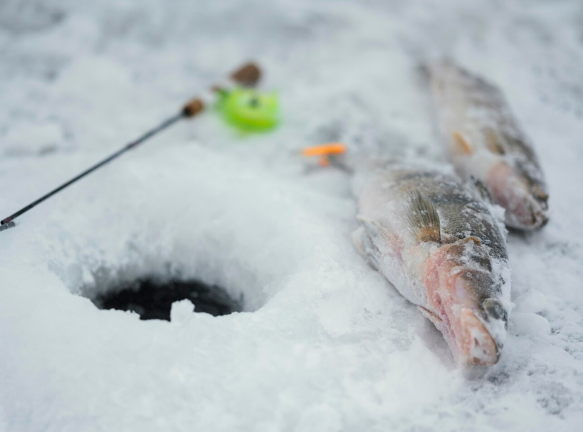 What Tips Should Ice Fishing Novices Never Ignore