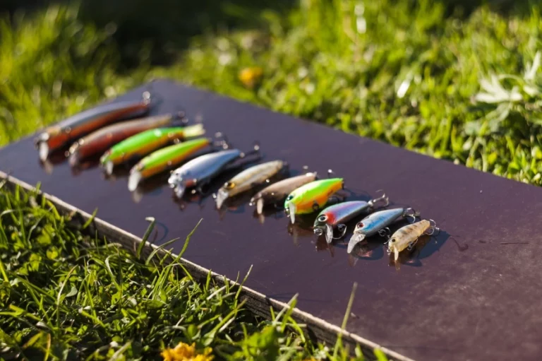 Artificial Lures or Live Bait Which Offers Better Control and Precision