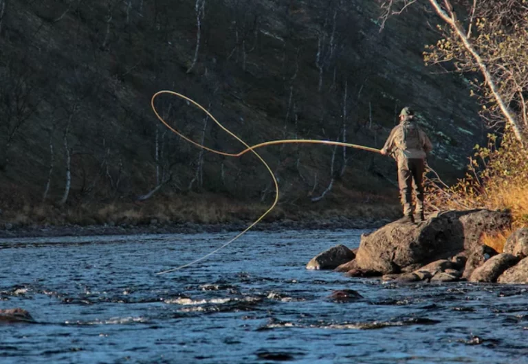 How to Analyze Fishing Line Stretch and Its Impact on Hook Setting