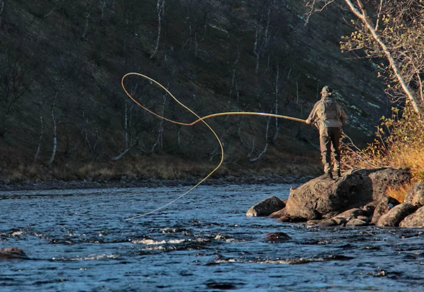 How to Analyze Fishing Line Stretch and Its Impact on Hook Setting
