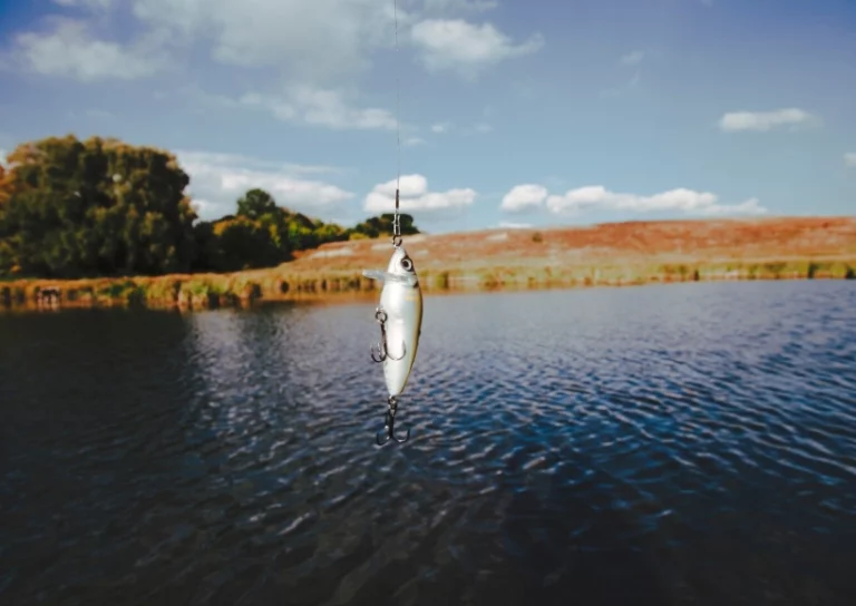 How to Decode Satellite Imagery for Ghost Fishing Spots