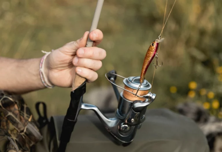 Step-by-Step Guide to Fishing Gear Maintenance for Modern Anglers