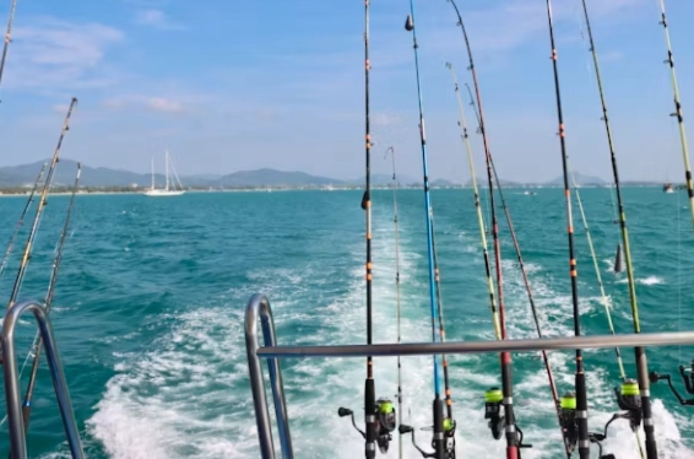 How to Choose the Perfect Carbon Rod and Reel for Heavy Shore Jigging