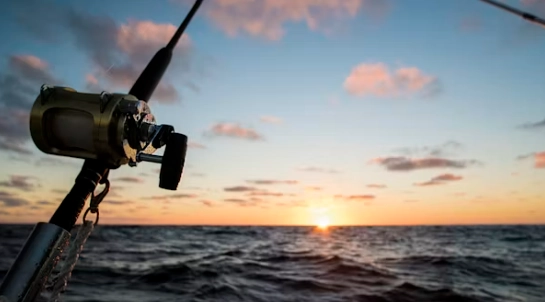 Should You Spend More on the Rod or the Reel in a Rod and Reel Setup