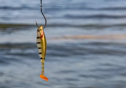 Best Fishing Hooks for Beginners Who Want Fewer Missed Bites