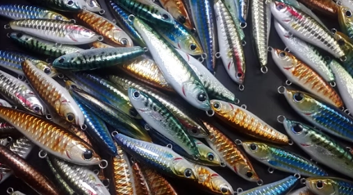 What Are the Best Fall Fishing Lures for Bass in Shallow and Deep Water