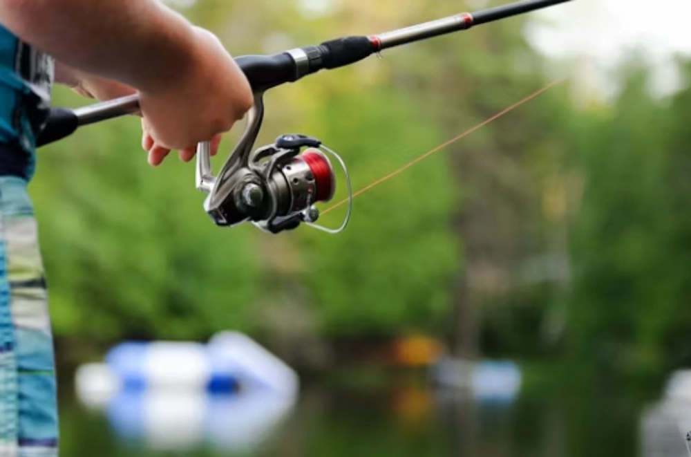 Fishing Pole vs Rod & Reel Mechanical Differences & Sourcing Guide