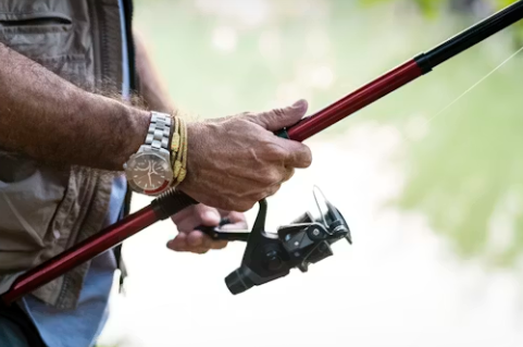 Vintage Fiberglass vs Modern Carbon Rods: Mechanical Differences & Sourcing Guide