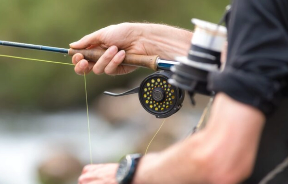 Budget or Premium Fishing Reels Which Models Should Wholesalers Stock