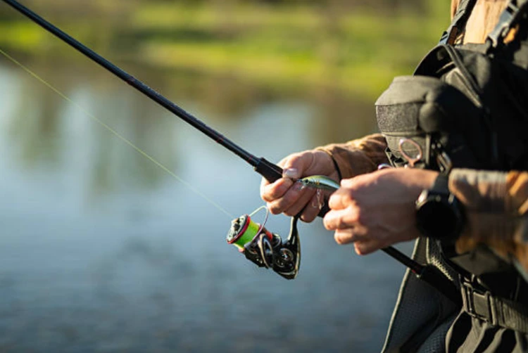 Fishing Rods Wholesale Length, Power and Action for Retail Assortments